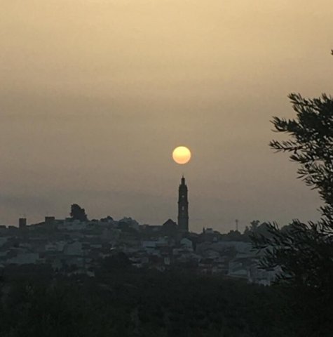 Vista paisajista (4)